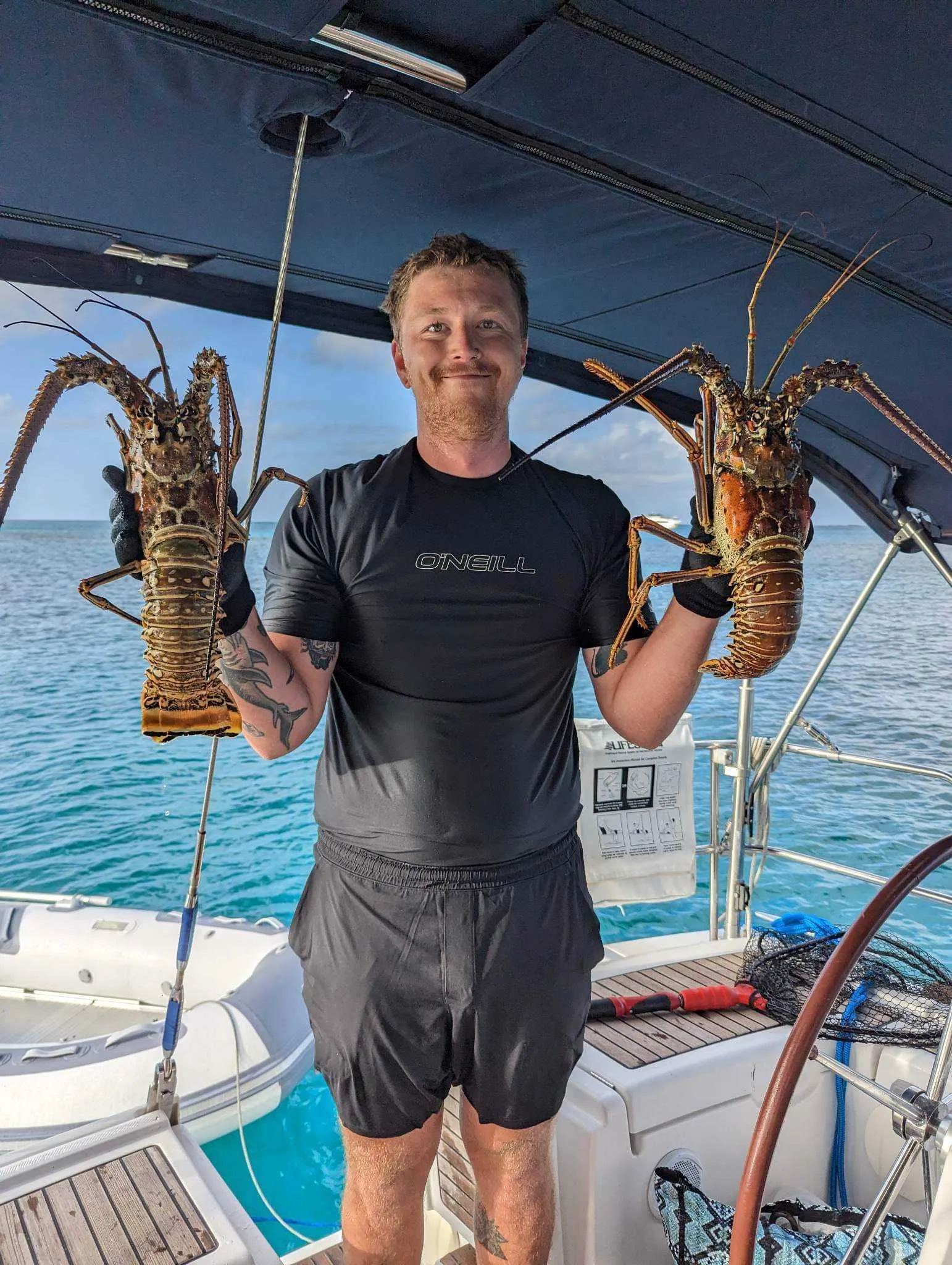 Felix lobster